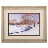 ROBERT E. BUCHANAN. A WINTER S
