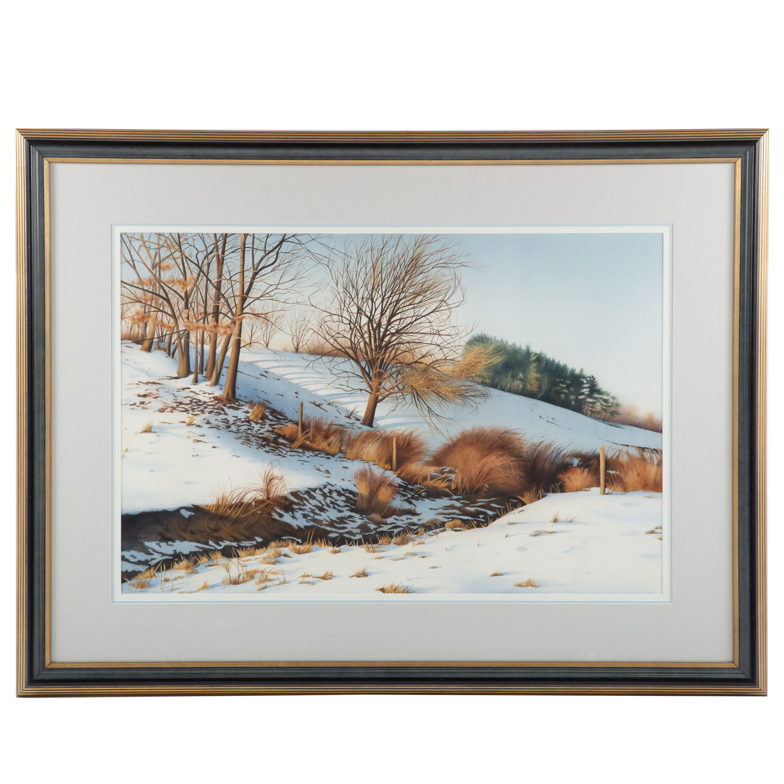 ROBERT E. BUCHANAN. WINTER