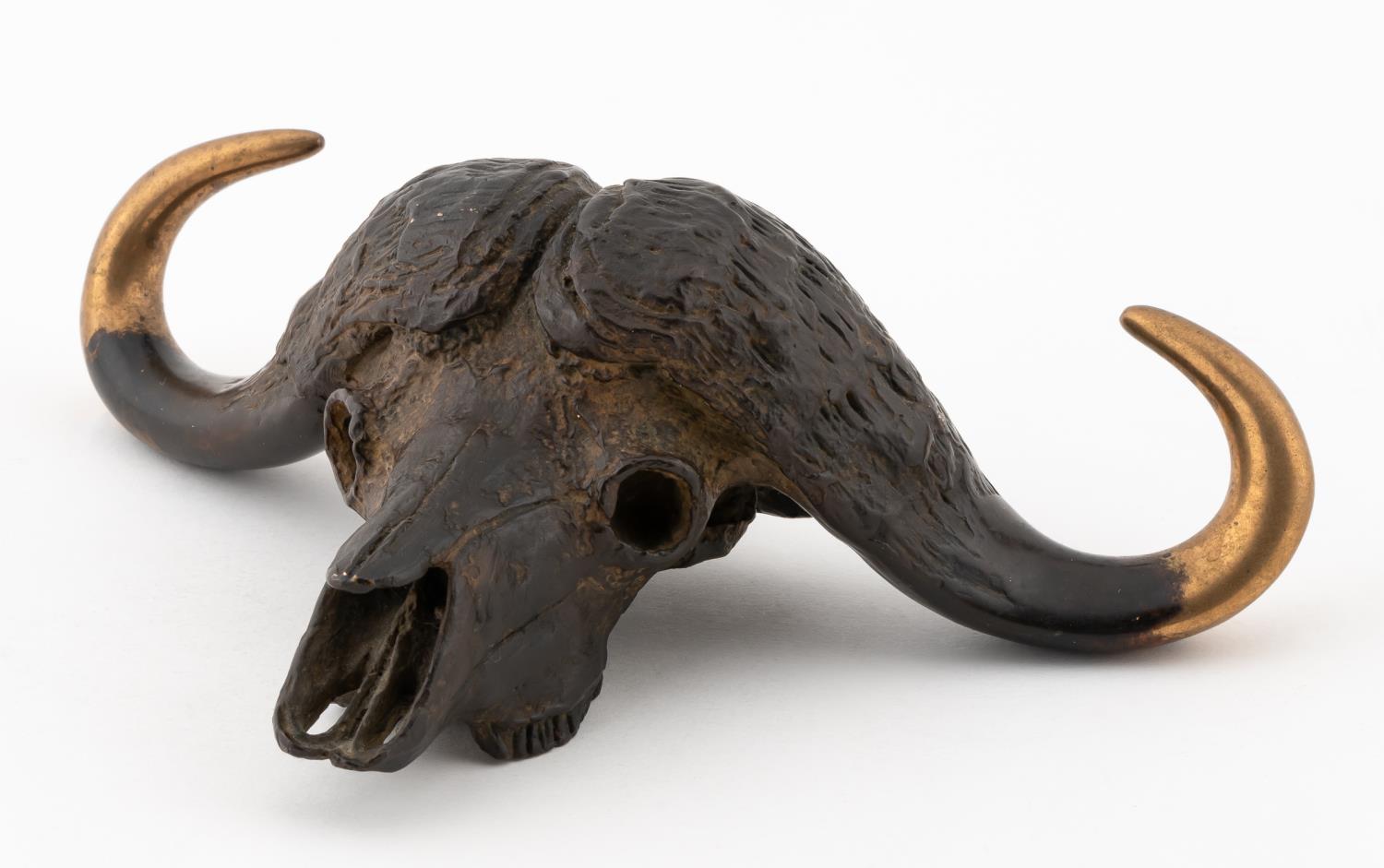 ROBERT GLEN, WATER BUFFALO SKULL