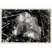 ROBERT GOBER, PHOTOGRAPH, ARTI