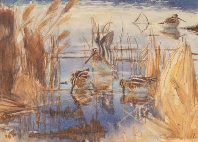 Robert Greenhalf (born