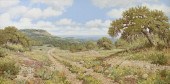 ROBERT HARRISON (AMERICAN/TEXA