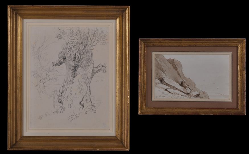 ROBERT HILLS (1769-1844): BEECH