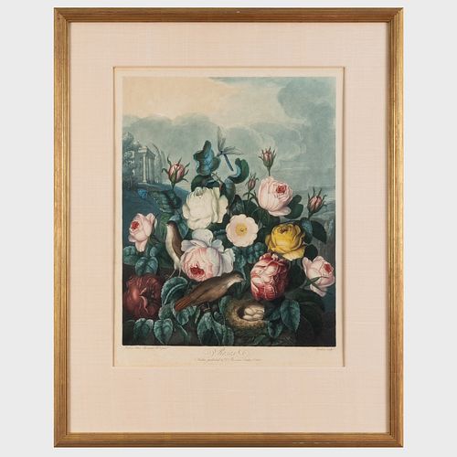 ROBERT JOHN THORNTON (1768-1837):