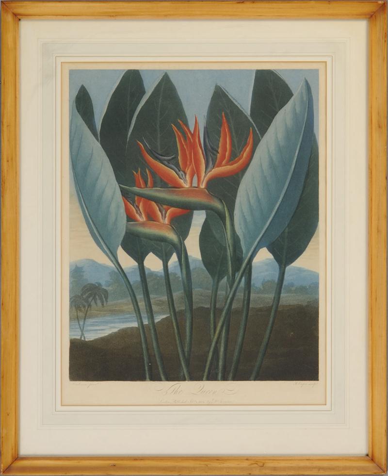 ROBERT JOHN THORNTON (1768-1837):
