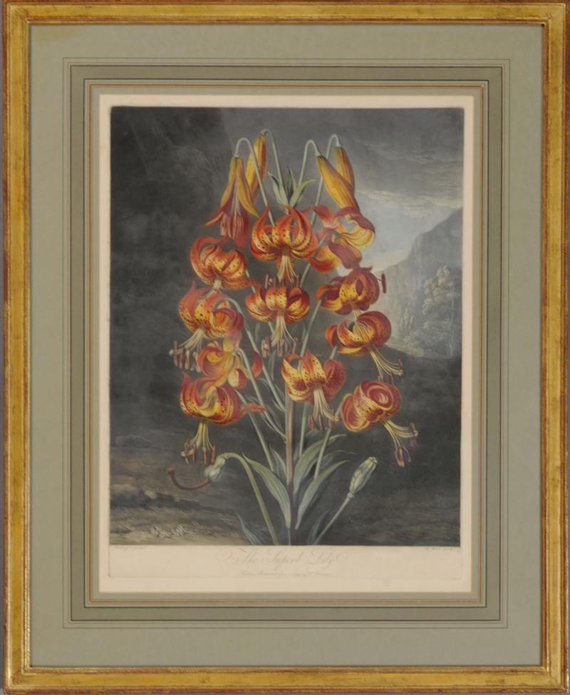 ROBERT JOHN THORNTON (1768-1837):