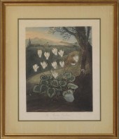 ROBERT JOHN THORNTON (1768-183
