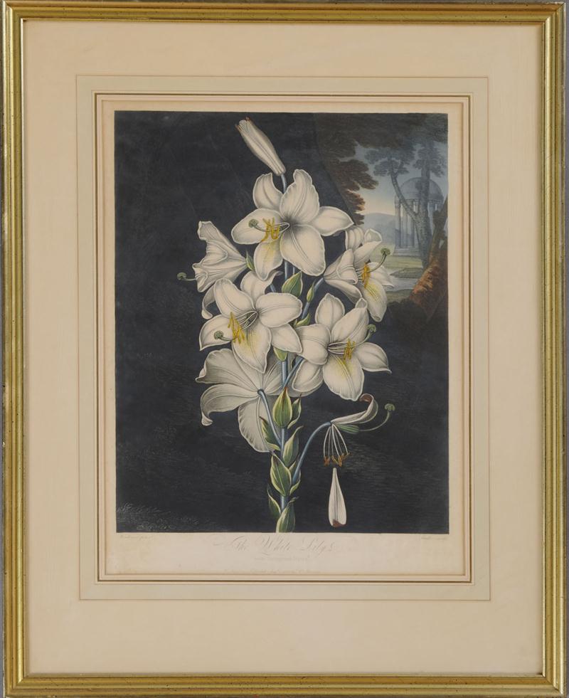ROBERT JOHN THORNTON (1768-1837):