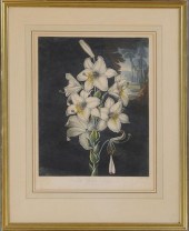 ROBERT JOHN THORNTON (1768-183