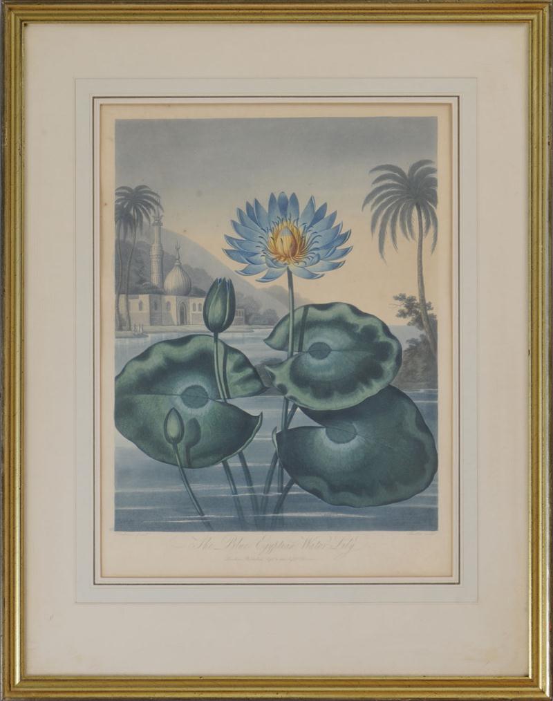 ROBERT JOHN THORNTON (1768-1837):