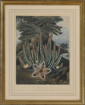 ROBERT JOHN THORNTON (1768-183