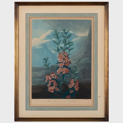 ROBERT JOHN THORNTON (1768-1837):