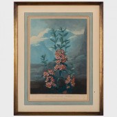ROBERT JOHN THORNTON (1768-183