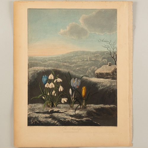 ROBERT JOHN THORNTON (1768-1837):
