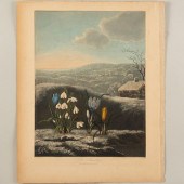ROBERT JOHN THORNTON (1768-183