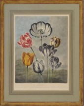 ROBERT JOHN THORNTON (1768-183