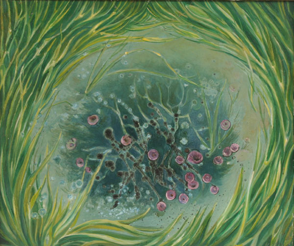 Robert Lohman (American,