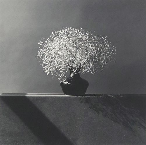 ROBERT MAPPLETHORPE (1946-1989)