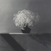 ROBERT MAPPLETHORPE (1946-1989