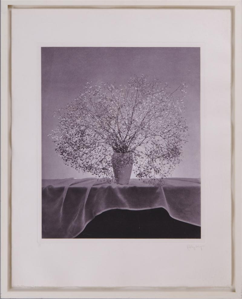 ROBERT MAPPLETHORPE (AMERICAN