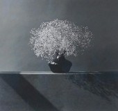 ROBERT MAPPLETHORPE (AMERICAN