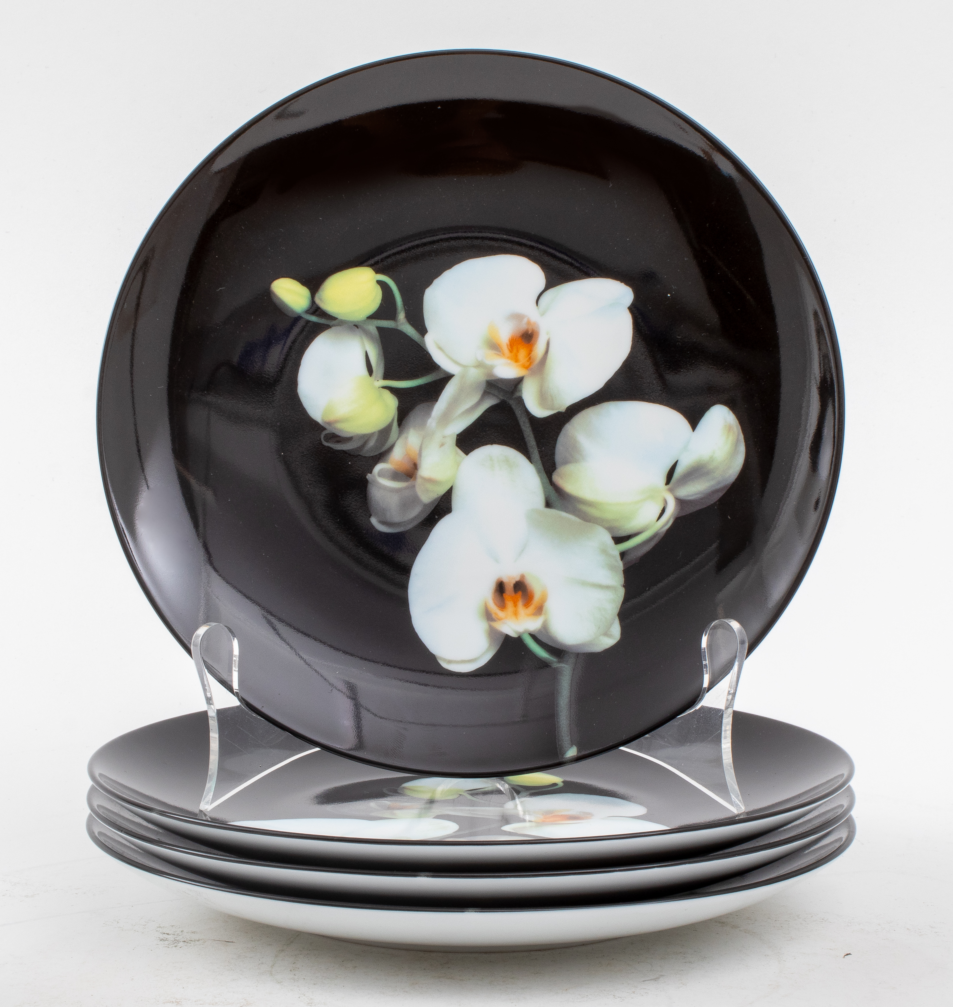 ROBERT MAPPLETHORPE FOR LIMOGES