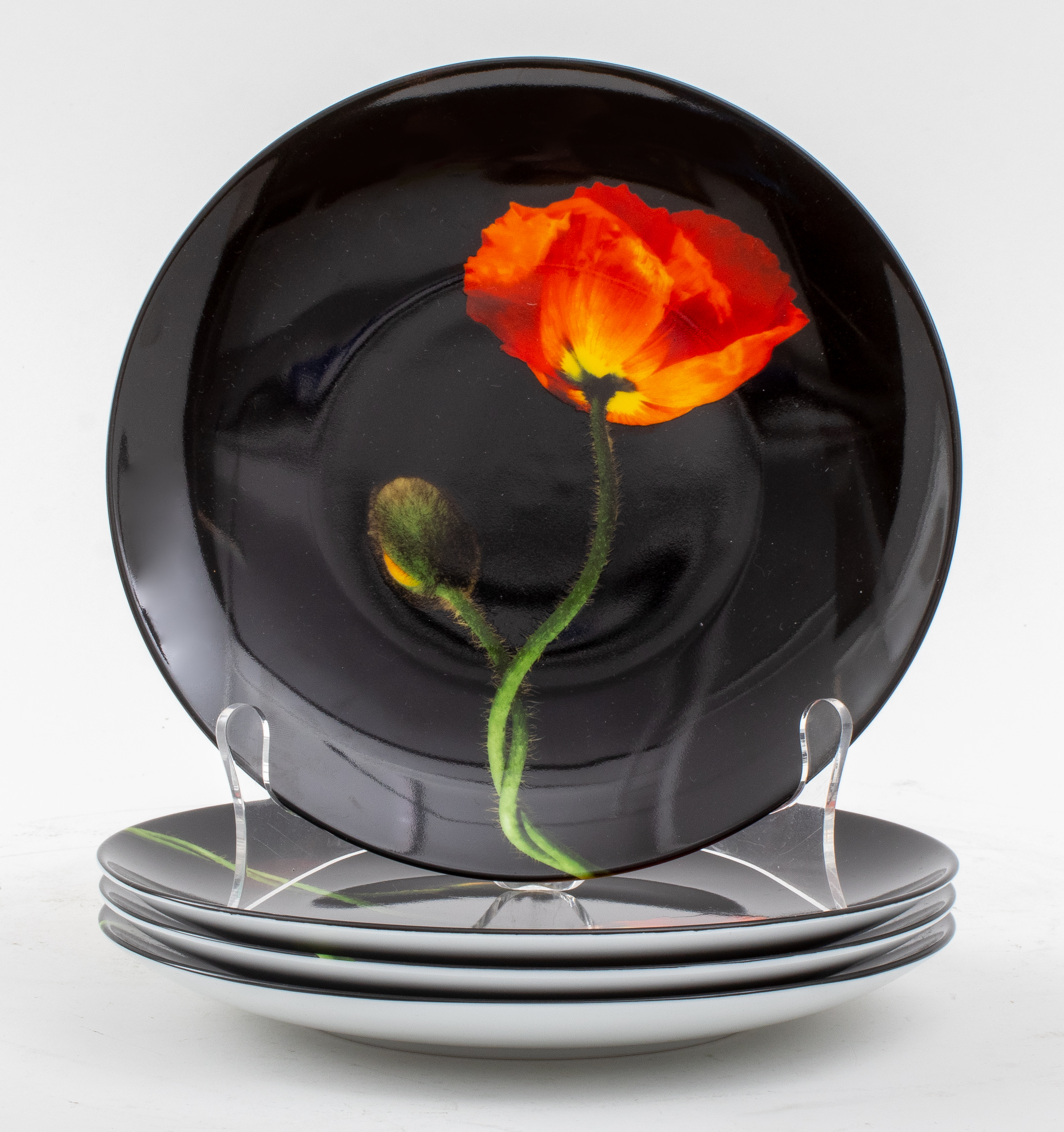 ROBERT MAPPLETHORPE FOR LIMOGES