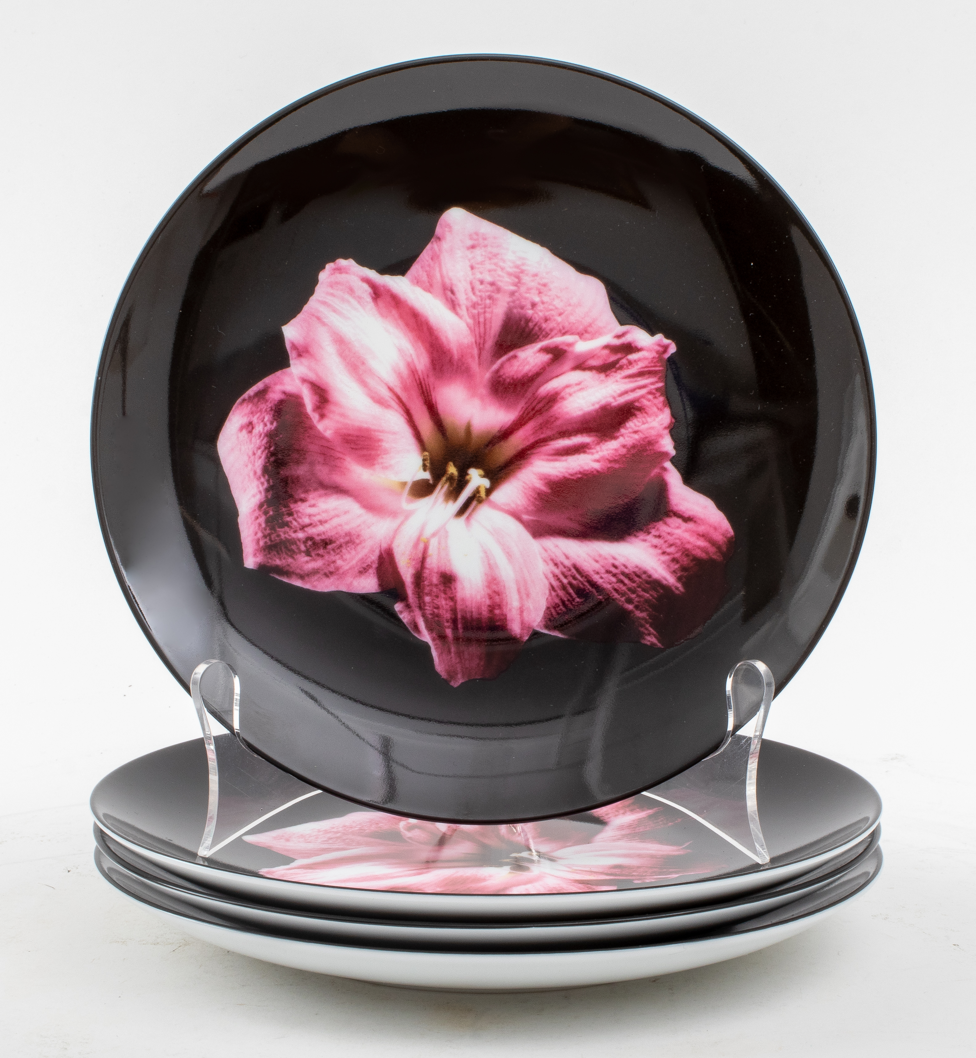 ROBERT MAPPLETHORPE LIMOGES
