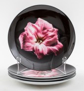 ROBERT MAPPLETHORPE LIMOGES "A