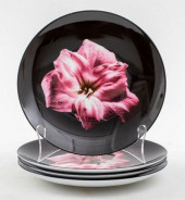 ROBERT MAPPLETHORPE LIMOGES &Q