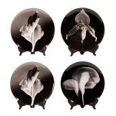 ROBERT MAPPLETHORPE, PLATES, S