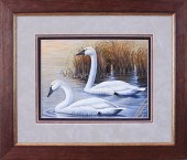 ROBERT METROPULOS (WISCONSIN,