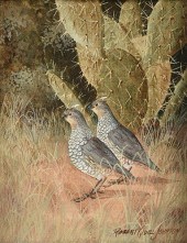 ROBERT QUILL JOHNSON (AMERICAN