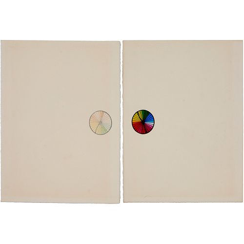 ROBERT RAUSCHENBERG, DIPTYCH,