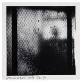 ROBERT RAUSCHENBERG, GELATIN S