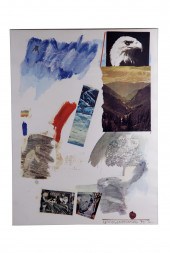 ROBERT RAUSCHENBERG: "MCGOVERN