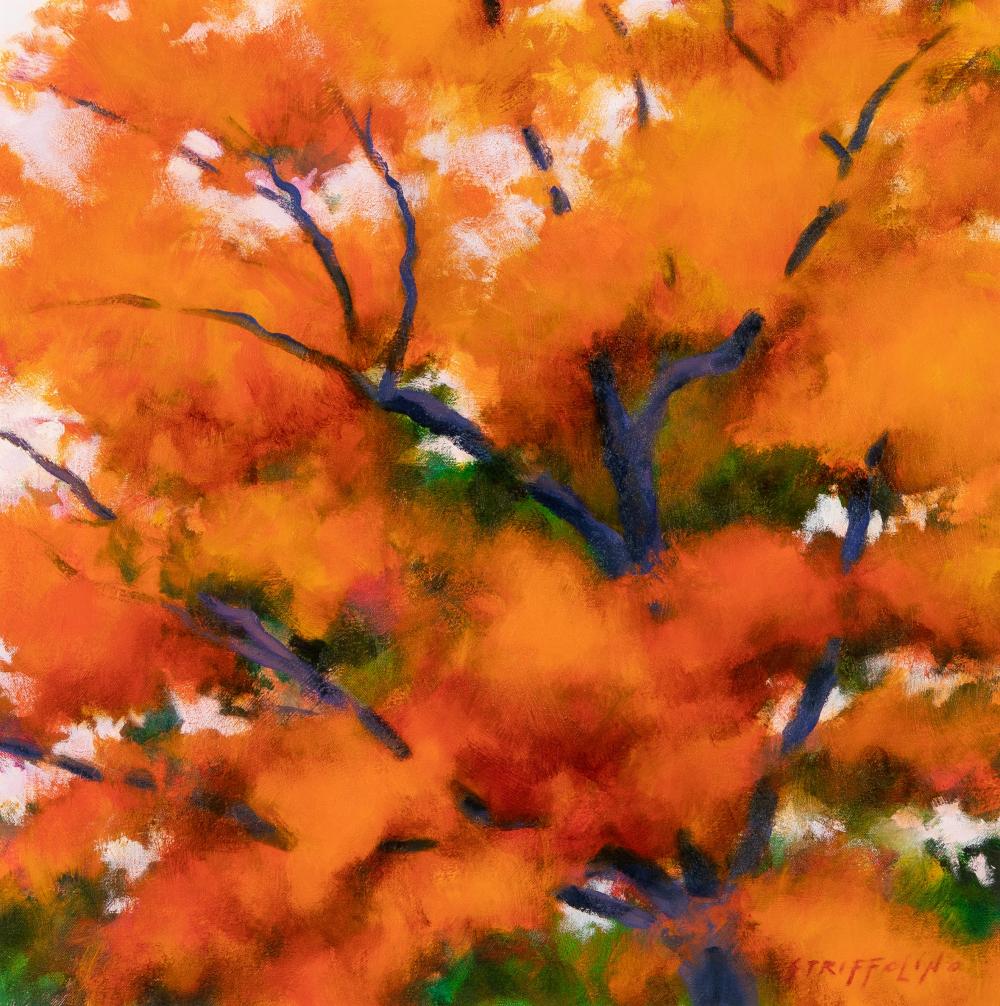 ROBERT STRIFFOLINO, ORANGE TREE