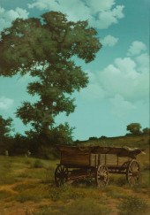 ROBERT SUMMERS (B. 1940): LAND