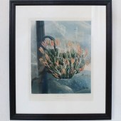 ROBERT THORNTON "THE ALOE" COL