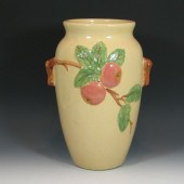 Robinson Ransbottom apple floo