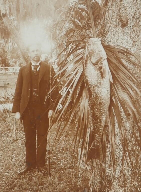 ROCKLEDGE PHOTO GIANT FISH CA.
