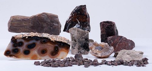 ROCKS, MINERALS, & PETRIFIED