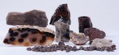 ROCKS, MINERALS, & PETRIFIED W