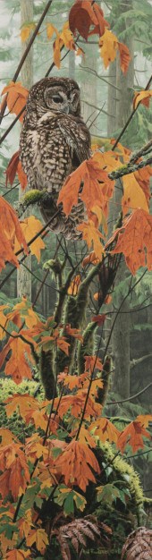 ROD FREDERICK (OREGON, BORN 19