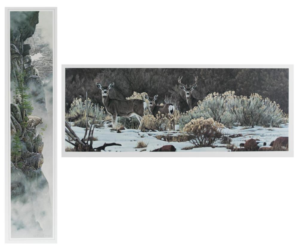 ROD FREDERICK (OREGON, BORN 1956)