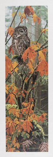ROD FREDERICK (OREGON, BORN 19