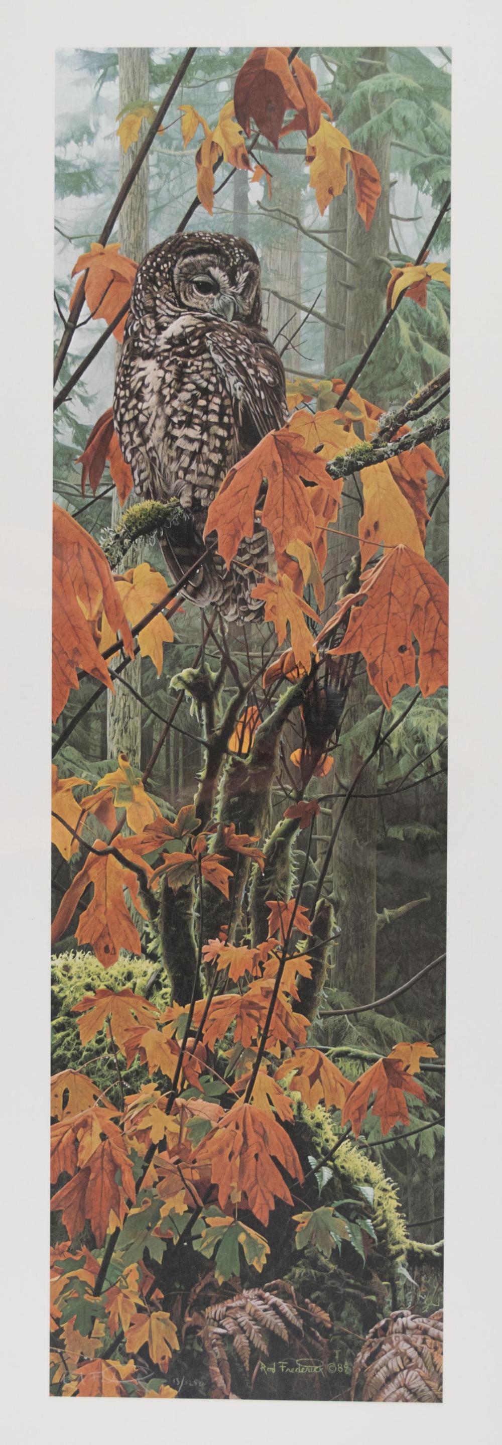 ROD FREDERICK (OREGON, BORN 1956)