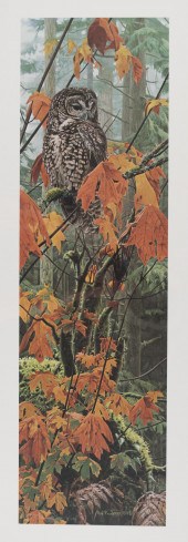 ROD FREDERICK (OREGON, BORN 19