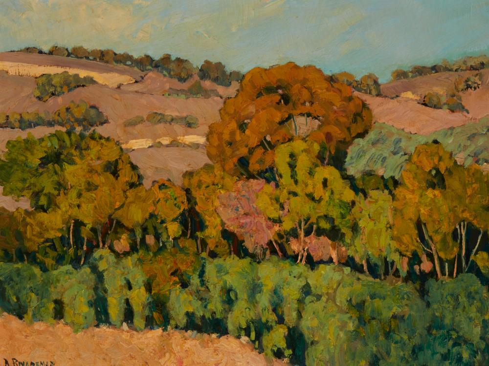 RODOLFO RIVADEMAR (B. 1957),