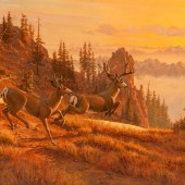 Roger Cooke
(American, 1941-20